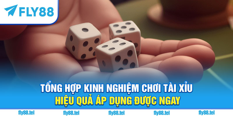 Kinh Nghiệm Chơi Tài Xỉu Hiệu Quả Vượt Trội 2025 1 Tổng hợp kinh nghiệm chơi tài xỉu hiệu quả